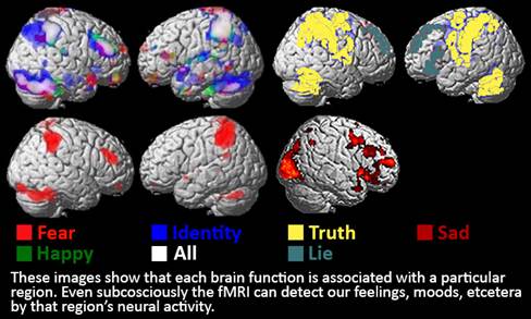 Brain Map